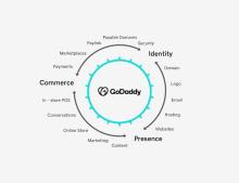 GoDaddy Product wheel chart.